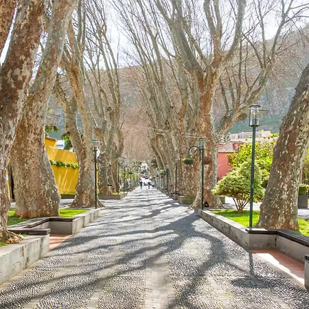 Appartamento Stayinmachico