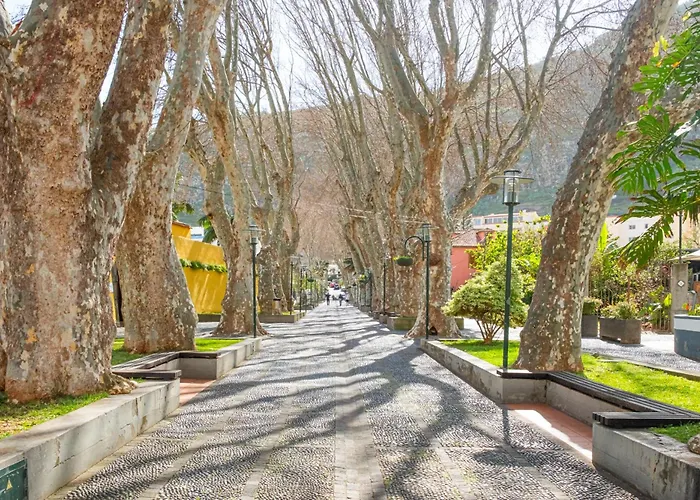 Lejlighed Stayinmachico